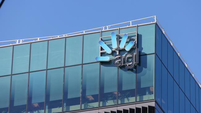 AGL director Patricia McKenzie will take over as chair from Peter Botten as part of a raft of changes made by the embattled power giant as it faces intensifying shareholder pressure.