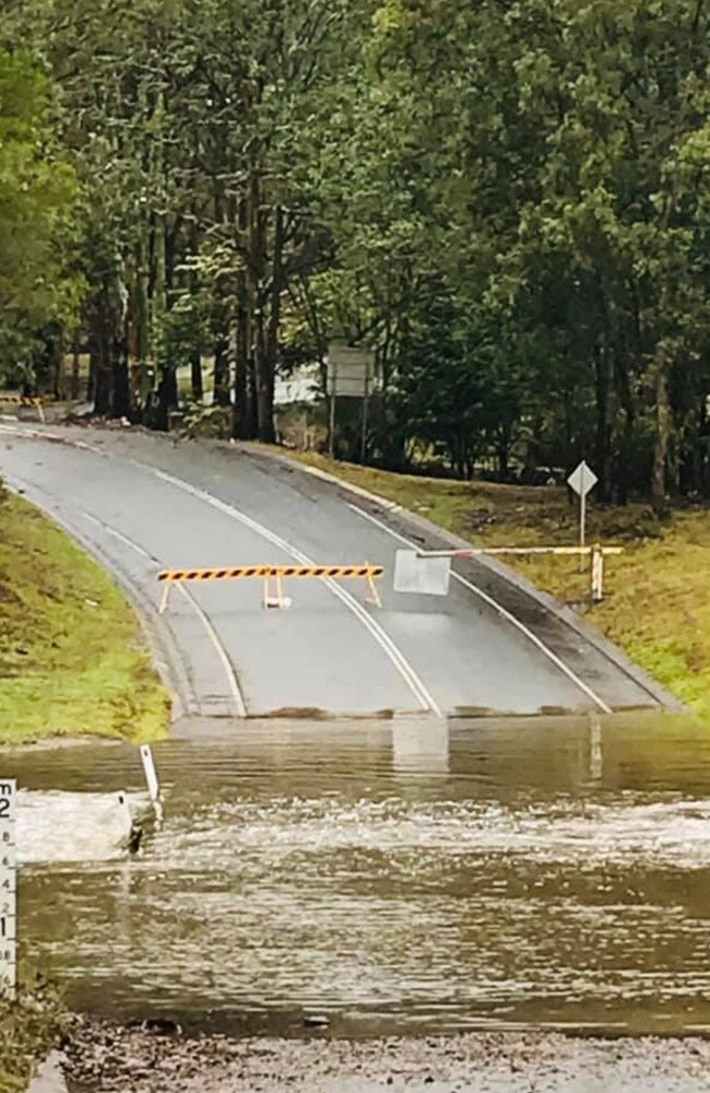 Flooding at Mudgeeraba. Photo: Danni GC