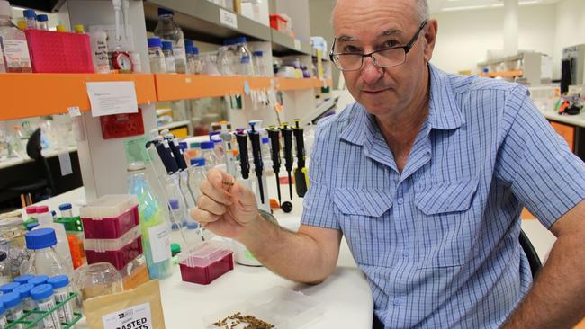 Professor Andreas Lopata in his laboratory at James Cook University.