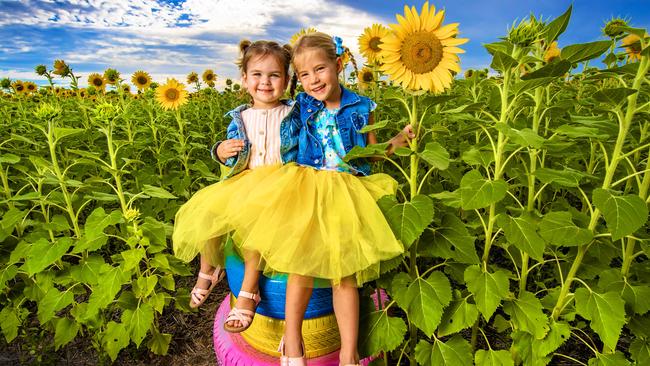 Scenic Rim locals Indie Range, 3, and Mahala Jackwitz, 5, are excited for the Kalbar Sunflower Festival. Picture: Nigel Hallett