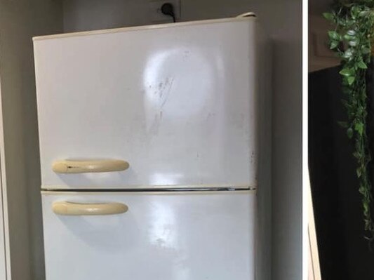 Woman's before and after fridge transformation