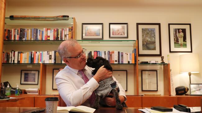 Prime Minister Scott Morrison with his dog Buddy. Picture: Adam Taylor