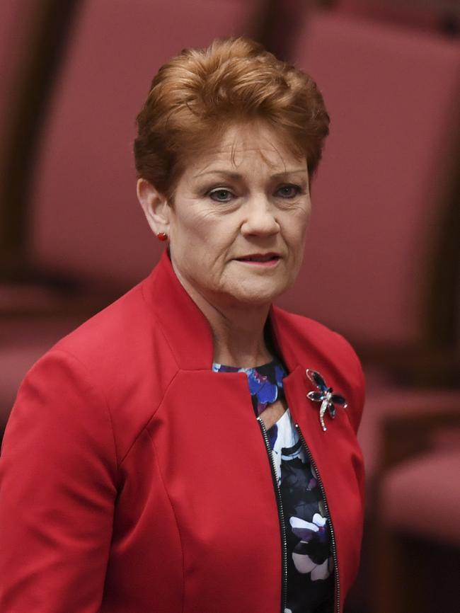 Pauline Hanson: <b>“I think the people want an explanation”</b>