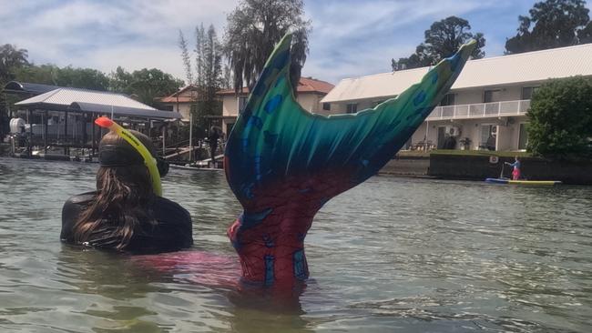 ** Please do not use. This is on hold for a feature, 2024. Thank you**Leia O'Brien, 14, gets used to wearing a mermaid tail in Crystal River as she enjoys the mermaid encounter. Picture: SuppliedTaken with a Gopro.