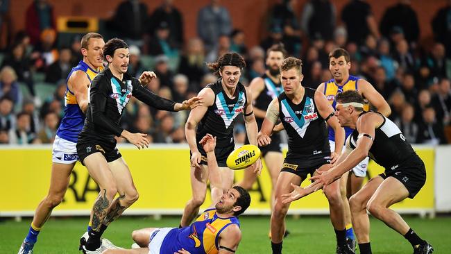 West Coast’s Jack Darling competes for the ball during the AFL first Elimination Final match between Port Adelaide Power and West Coast Eagles at Adelaide Oval. Photo by Daniel Kalisz/Getty Images.