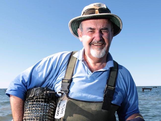 ‘Industry would be f*****’: Toxic algae crisis drowning $100m trade