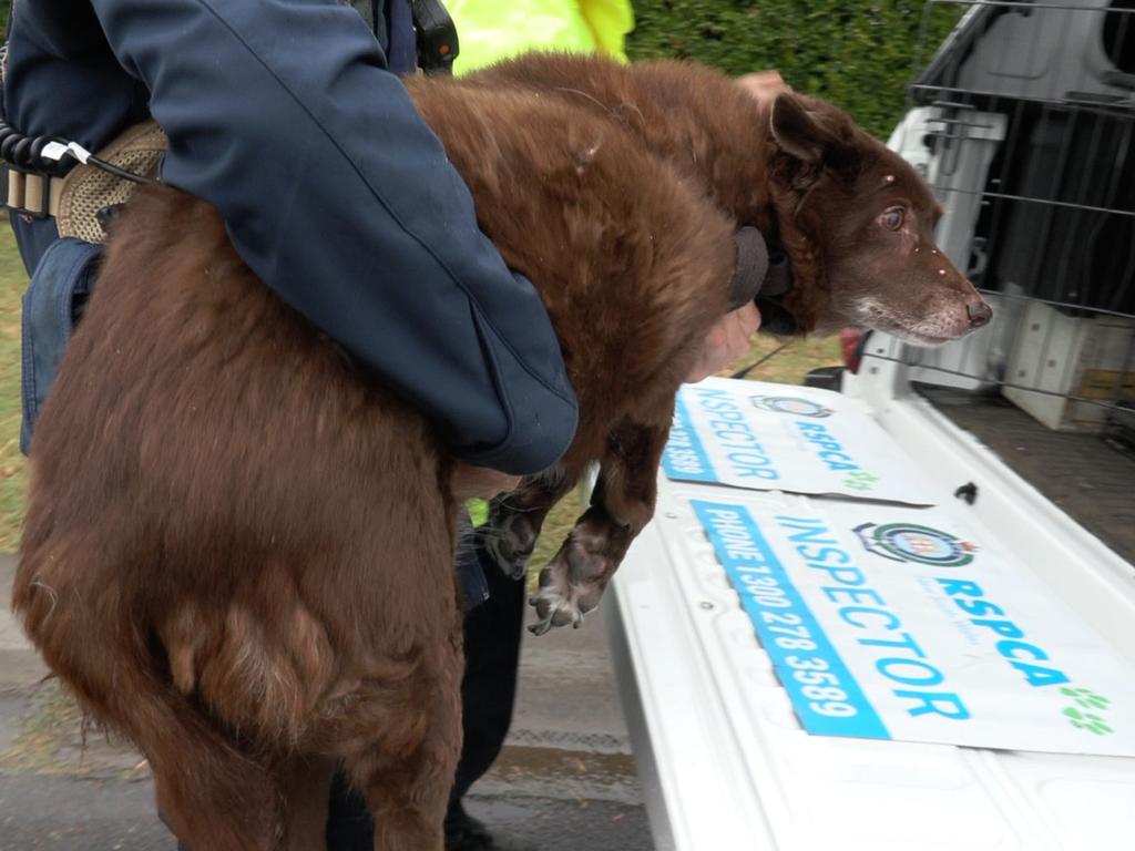 The man was charged with bestiality last week. Picture: NSW Police