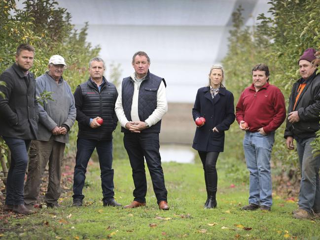 The farmers around the proposed Bird in hand Gold mine don't want it to go ahead. Pictured at the AF Parker & Sons apple and strawberry orchard, at Woodside, (LtoR) Jared Stringer, Don Parker, Mike Mudge, Glen Kelly, Nikki Roberts, Jim Franklin-McEvoy, and Malcolm Parker. 5 June 2019. Picture Dean Martin