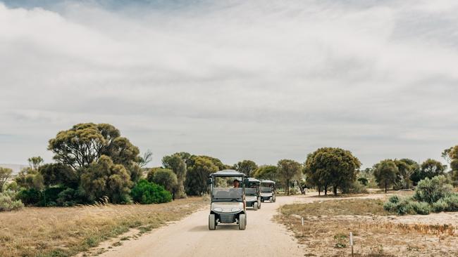 Buggies exploring the rugged coastline.