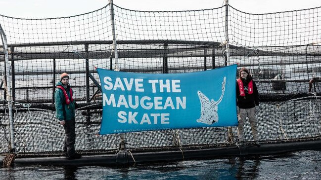 Bob Brown Foundation activists putting a banner up on a salmon pen in Macquarie Harbour. Picture: Supplied.