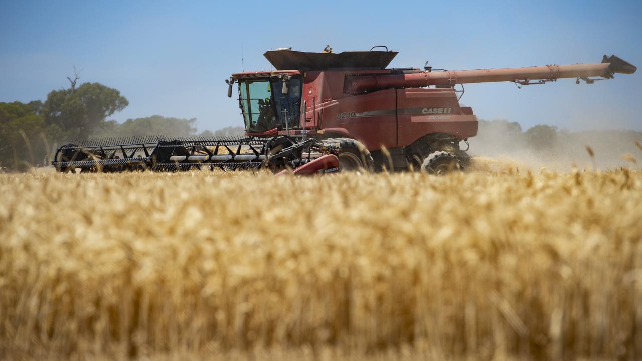 Rising wheat prices have boosted some regional economies, helping drive up home prices. Picture: Zoe Phillips