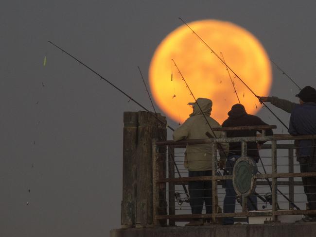 The moon sets behind people fishing on a pier during its closest orbit to the Earth since 1948 on November 14, 2016 in Redondo Beach, California. Picture: David McNew/Getty Images/AFP