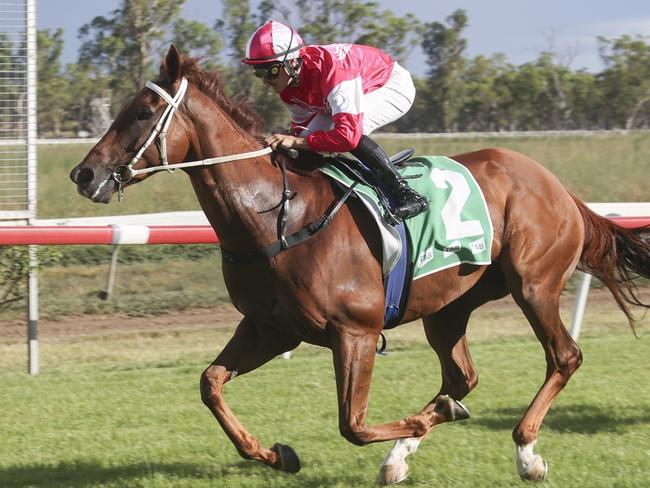 Wiggles wins at Gunnedah in January this year. He has a terrific chance to return to the winner's stall at Scone on Monday. Photo: Bradley Photos