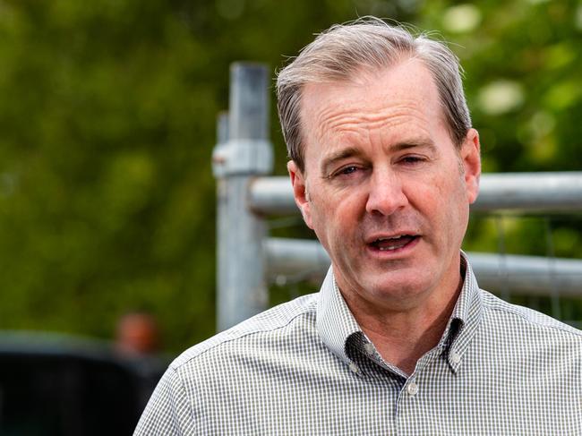 Minister for Infrastructure and transport, Michael Ferguson.Picture: Linda Higginson