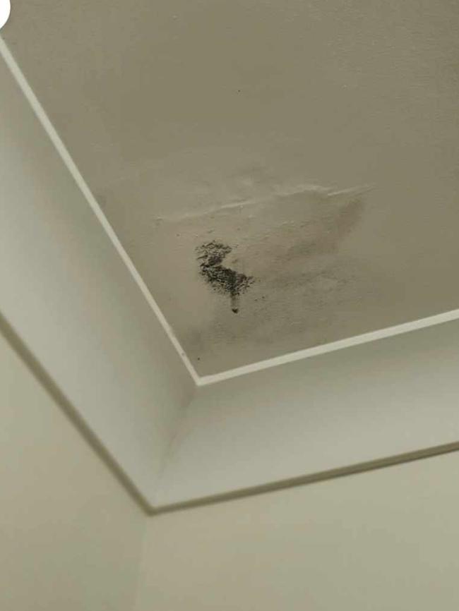 Mould on the ceiling of Lou Lysto’s home. Picture: Supplied.