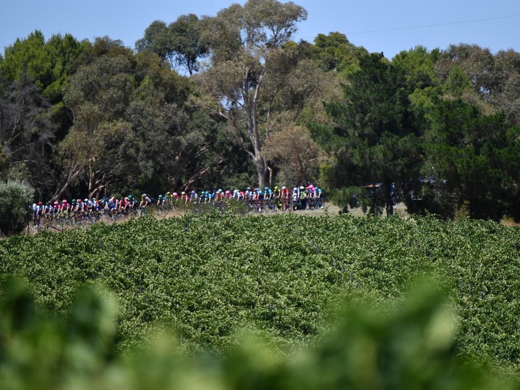 South Australia. Picture: David Mariuz/AAP Image