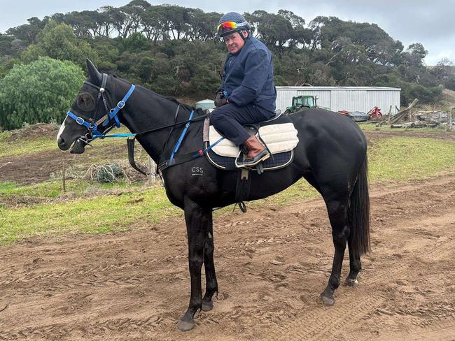 Former champion jockey Brent Thomson has been riding work at Ciaron Maher's Fingal property after a 24-year sabbatical. Picture : New Zealand Bloodstock/Twitter.