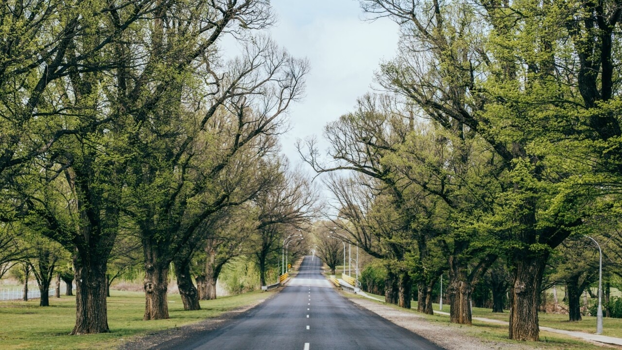 Armidale enters week-long snap lockdown