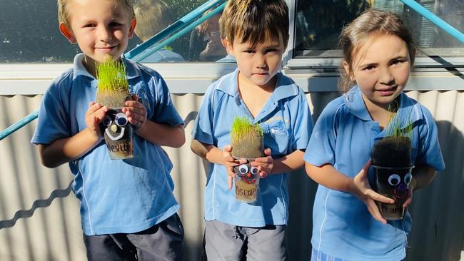 Yamba Public School Kindergarten growing their 'Grass Heads'