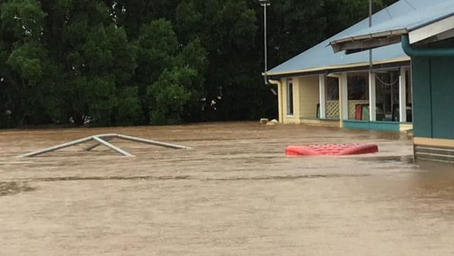 A cow floats in flood water at Our Lady Help of Christians Primary School in South Lismore on February 28, 2022.