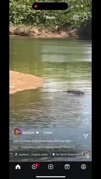 Influencer boasts about feeding Far North croc a BBQ chicken