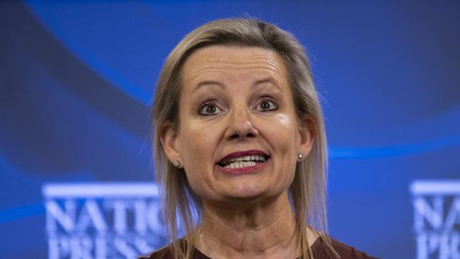 Environment Minister Sussan Ley. Picture: NCA NewsWire / Martin Ollman