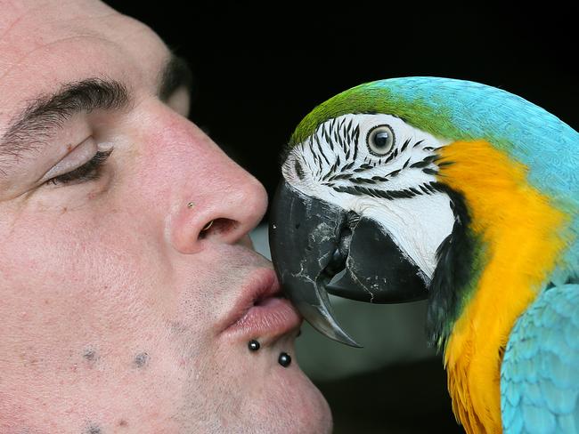 Anthony Rowe, of Deddington, with Cyril the Macaw. Picture: SAM ROSEWARNE.