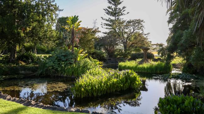 A pond at Footscray Park. Picture: Ian Currie