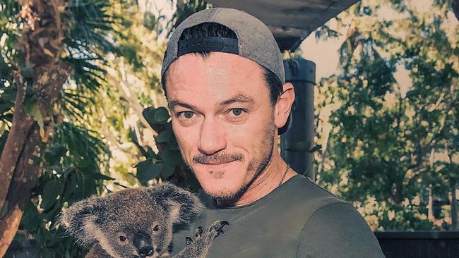 Actor Luke Evans poses with a koala at Hamilton Island Wildlife Park. Picture: Instagram