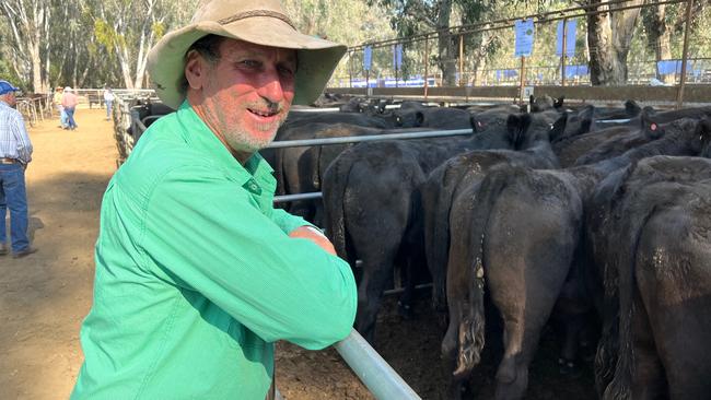 Greg Ivone from Havilah sold Black Simmental Angus steers for $1390 or 350c/kg at the Myrtleford weaner sale.