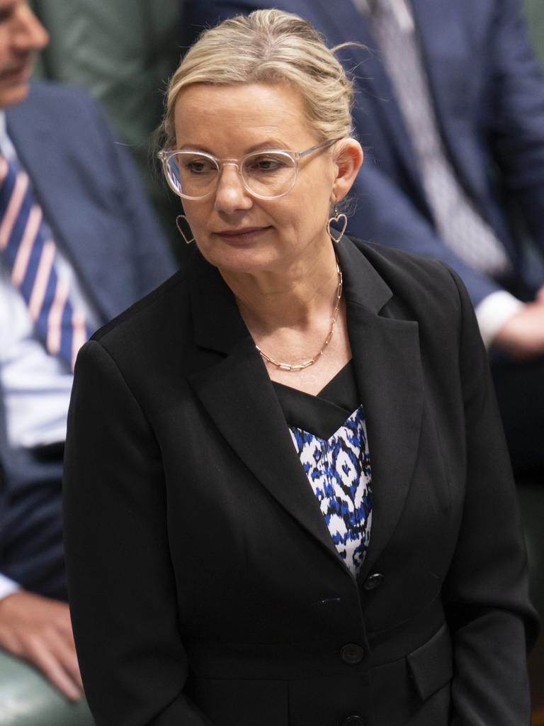 Sussan Ley has demanded the PM front up. Picture: NCA NewsWire / Martin Ollman