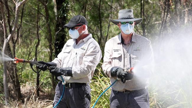 Moreton council vector officers Martin Lightowler and Justin Williams spraying for mosquitos, Morris Park, Rothwell. Picture: Liam Kidston