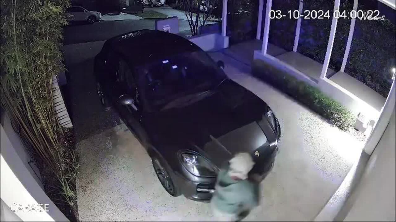 Moment thieves attempt to break in to steal cars