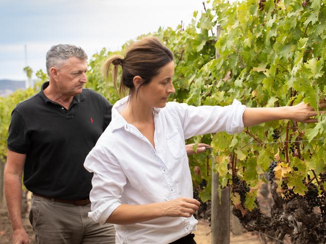 Penfolds winemakers Andrew Baldwin and Stephanie Dutton in California.