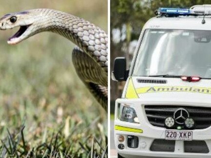 In the early hours of Thursday morning, a Moffatdale woman was taken to hospital after suffering a snake bite.