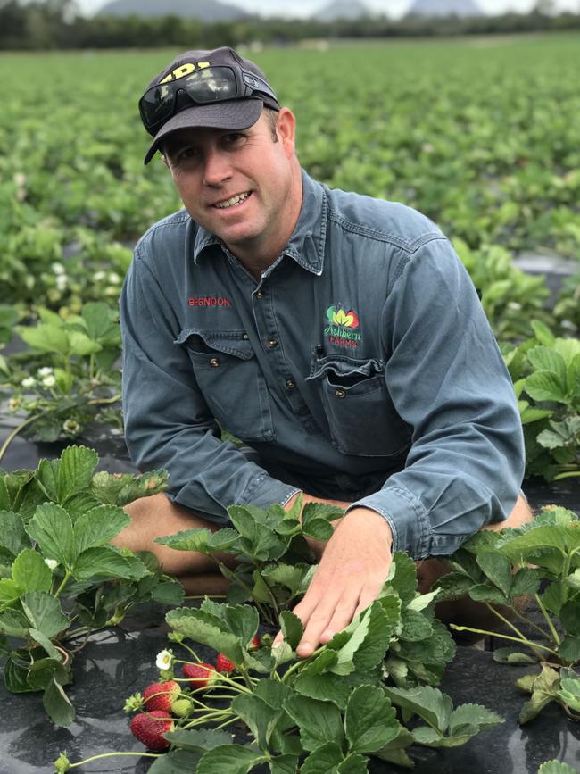 Brendon Hoyle has been named Organic Farmer of the Year