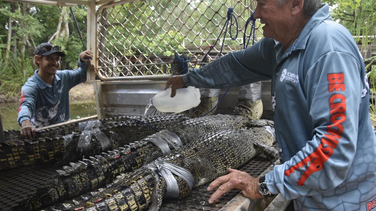 DEPWS rangers Jaylen Marshall and Tom Nichols splashing water on the crocs to keep them hydrated in the Top End heat. Picture: Annabel Bowles