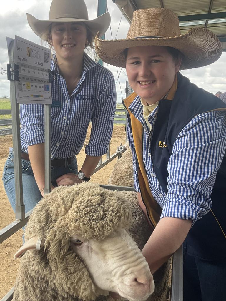 Avenel Merinos ram sale: Weather dampens prices | The Weekly Times