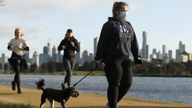 You are allowed to leave your home to walk your dog. Picture: Daniel Pockett/Getty Images.