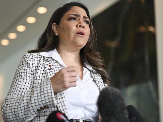 CANBERRA, AUSTRALIA  - NewsWire Photos - November 20, 2024: Senator Jonno Duniam, Senator Susan McDonald and Senator Jacinta Nampijinpa Price hold a press conference at Parliament House in Canberra. Picture: NewsWire / Martin Ollman