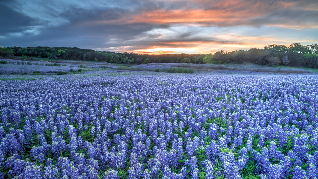 10 best things to do in Austin Texas | escape.com.au