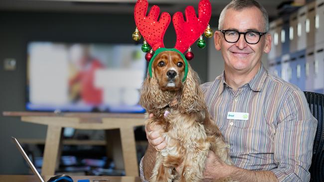 Woolworths chief Brad Banducci with his king charles cavalier cocker spaniel cross, Juno. Picture: Chris Pavlich/Woolworths