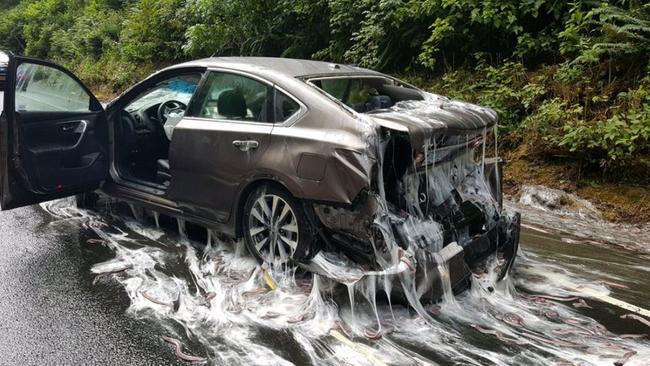 A truck full of ‘slime eels’ overturns, coating cars and a highway. Picture: Oregon State Police.