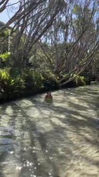 Australia's 'Theme Park in Nature'