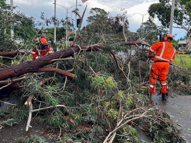 A handout photo taken on February 13, 2024 and received on February 14 by the Victoria State Emergency Service (VICSES) shows SES crews cleaning up storm damage in Melbourne. Storms packing powerful winds toppled trees, killed one person and knocked out power to hundreds of thousands of homes and businesses in eastern Australia, officials said. (Photo by VICTORIA STATE EMERGENCY SERVICE / AFP) / RESTRICTED TO EDITORIAL USE - MANDATORY CREDIT "AFP PHOTO /  VICTORIA STATE EMERGENCY SERVICE" - NO MARKETING - NO ADVERTISING CAMPAIGNS - DISTRIBUTED AS A SERVICE TO CLIENTS