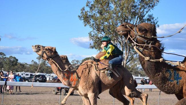 Kyrraley Woodhouse and Gunner blazing down the track at the Tara Camel Races 400m final. . Picture: Zoe Bell