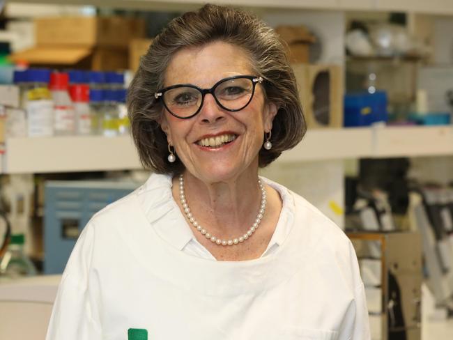 Professor Michelle Haber will be the new co-chair of the Medical Research Advisory Committee. Picture: Supplied