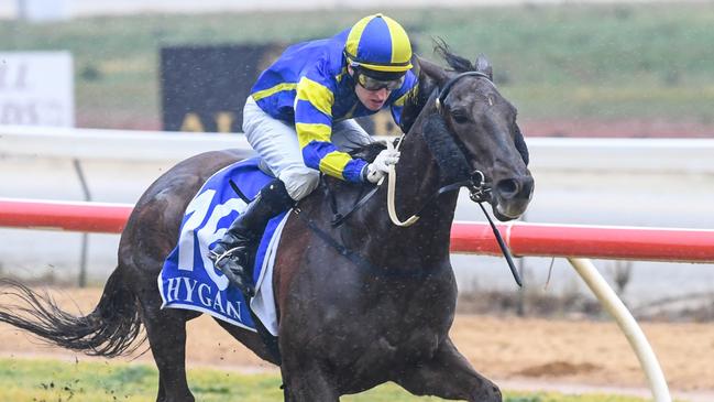 Craig Newitt is on a couple of longshots at Geelong on Friday. Picture: Getty Images