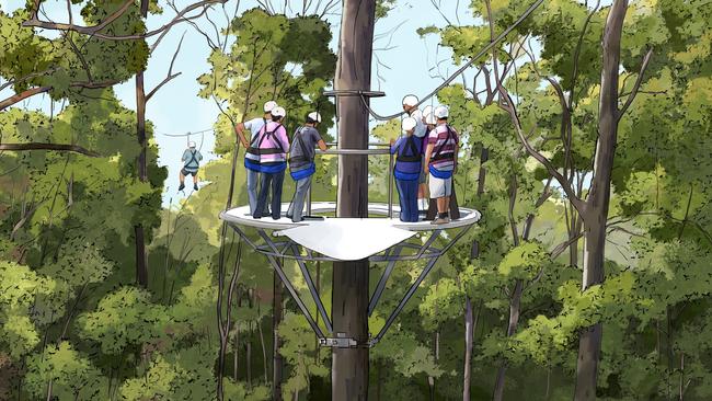 The new Lord Mayor will have to make a final decision on the proposed Mount Coot-tha zipline.