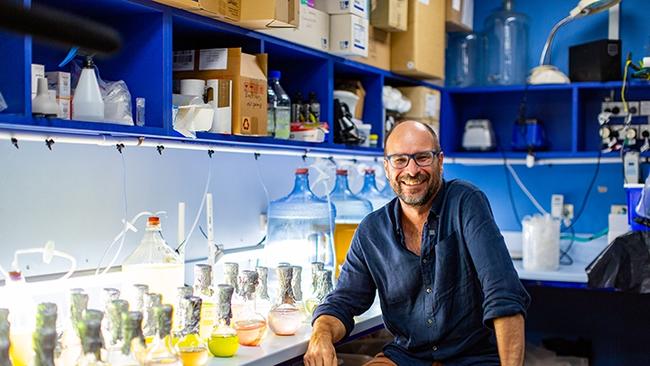 Professor Symon Dworjanyn in the labs at Southern Cross University's National Marine Science Centre in Coffs Harbour.